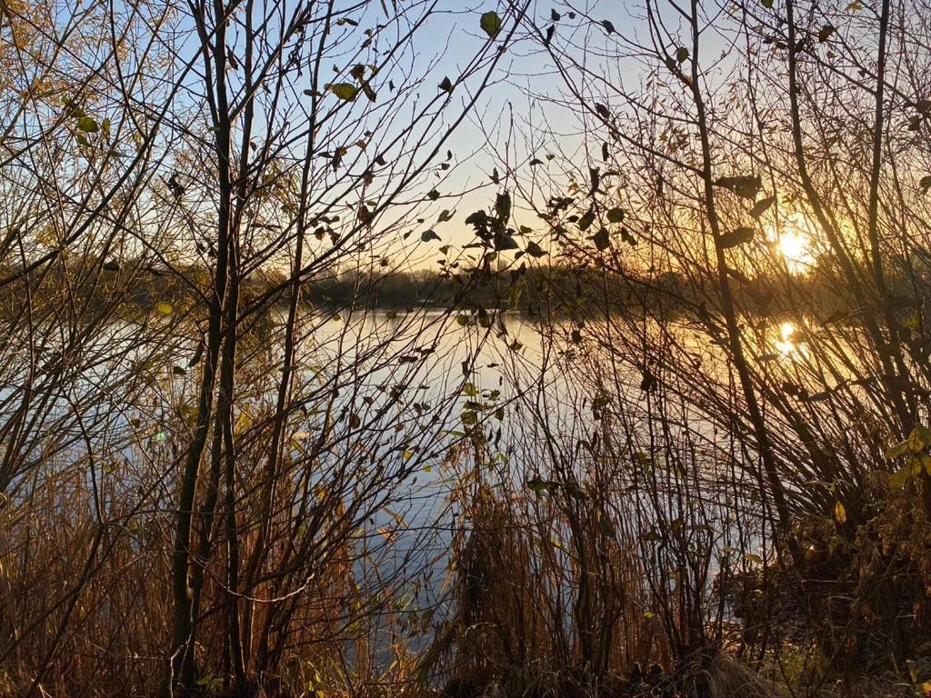 Naturlig på Korsgården Nysted Eksteriør billede