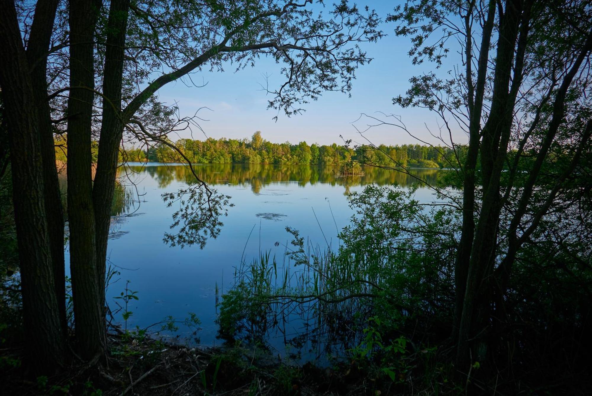 Naturlig på Korsgården Nysted Eksteriør billede